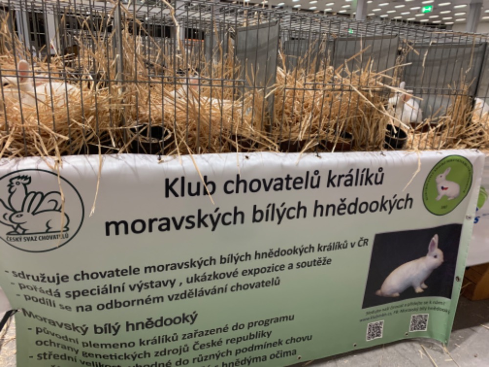 Novy plakat